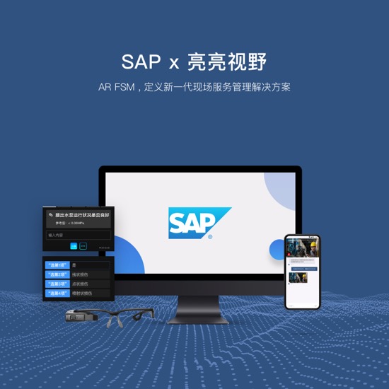 SAP2.jpg